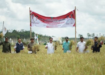 Wakil Bupati Kukar Rendi Solihin pimpin panen raya di Desa Bukit Raya, Tenggarong Seberang/Pemkab Kukar