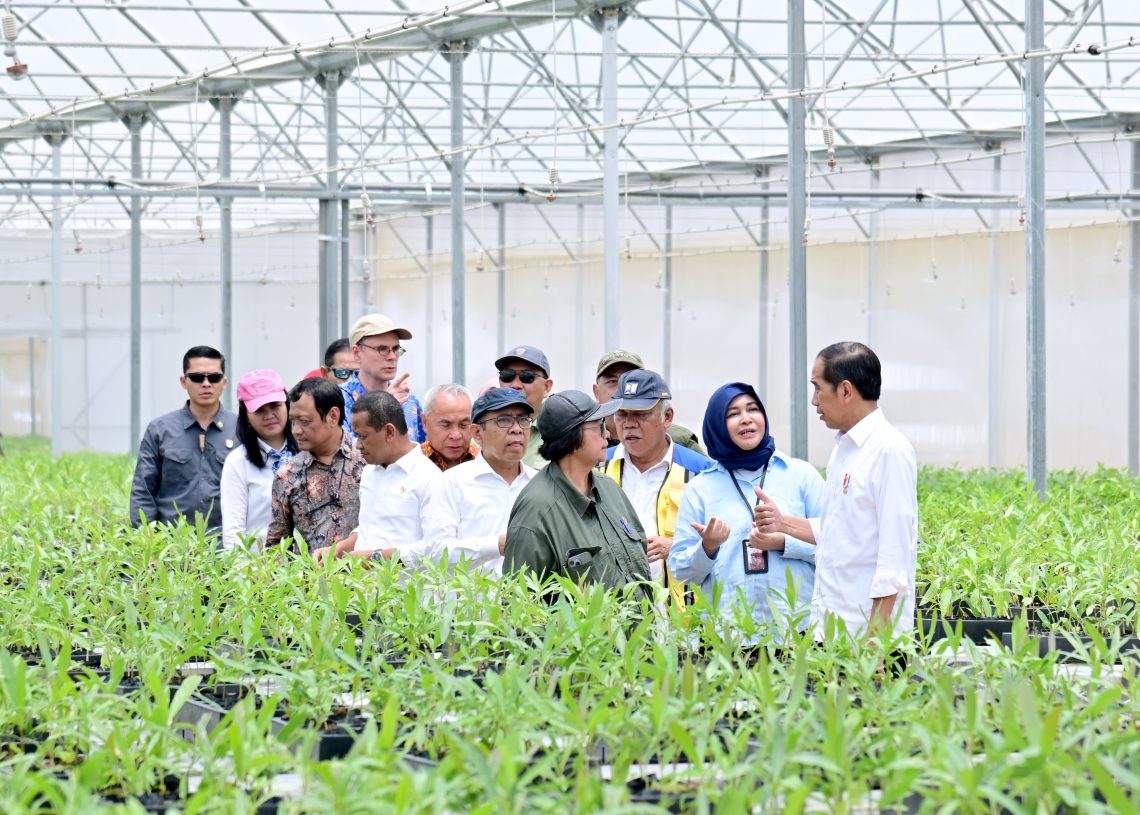 Presiden Jokowi ketika meninjau persemaian, Kamis, 21 September 2023. BPMI Setpres