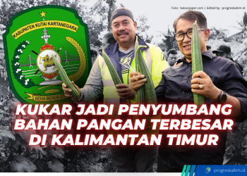 Bupati Kukar Edi Damansyah bersama Pj Gubernur Kaltim Akmal Malik melakukan penen gambas, di Dusun Mulya Desa Bhuana Jaya, Kecamatan Tenggarong Seberang. (Foto dok kukarpaper.com)