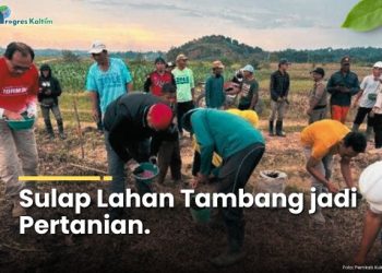 Sulap Lahan Tambang jadi Pertanian