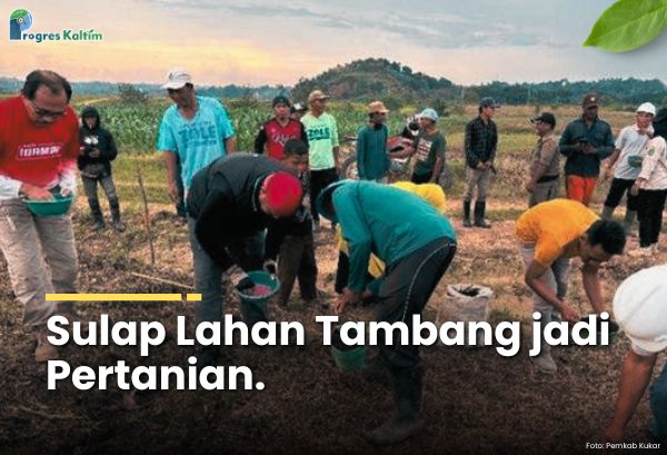 Sulap Lahan Tambang jadi Pertanian