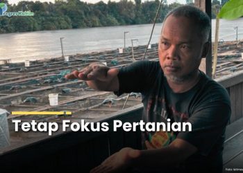 Tetap Fokus Pertanian_Kades Embalut Yahya. ist