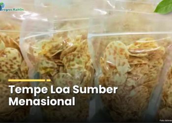 Tempe Loa Sumber Menasional