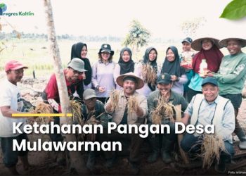 Ketahanan Pangan Desa Mulawarman