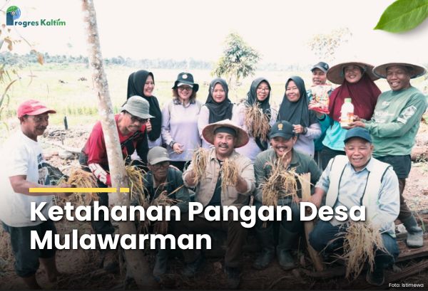 Ketahanan Pangan Desa Mulawarman