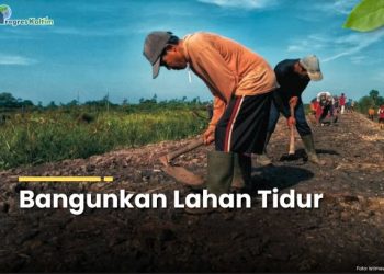 Bangunkan Lahan Tidur