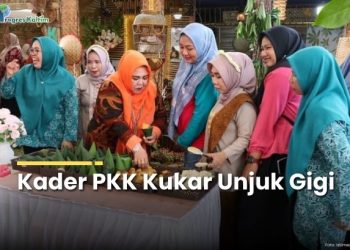 Kader dan pengurus TP PKK Kukar