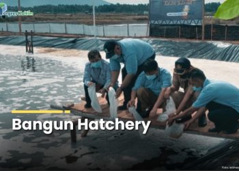 Hatchery Benur. ist.