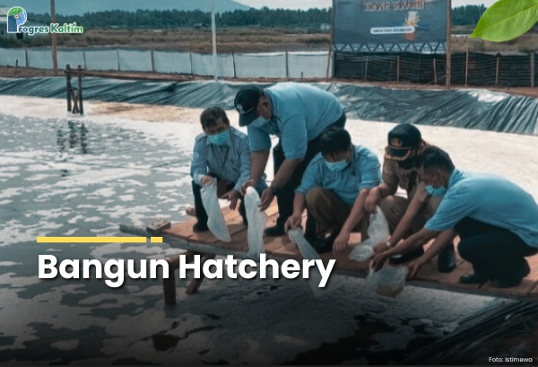 Hatchery Benur. ist.
