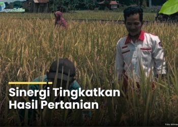 Sinergi Tingkatkan Hasil Pertanian