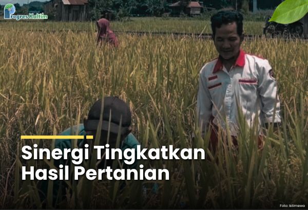 Sinergi Tingkatkan Hasil Pertanian