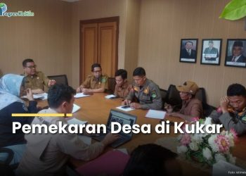 DPMD susun peta indikatif desa