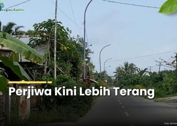 LPJU di sepanjang jalan Desa Perjiwa.