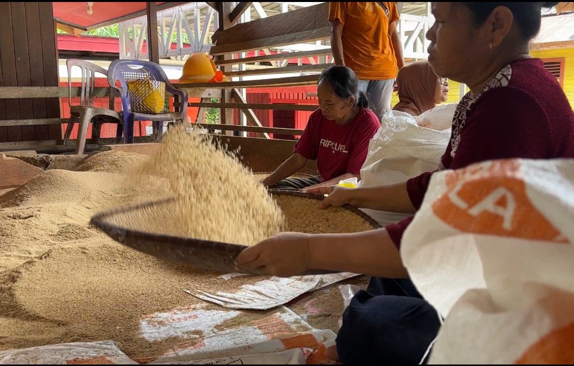 Ritual adat Nutuk Beham yang diadakan setahun sekali di Komunitas Adat Masyarakat Adat Kutai Adat Lawas Sumping Layang di Kedang Ipil. HO. AMAN INDONESIA