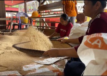 Ritual adat Nutuk Beham yang diadakan setahun sekali di Komunitas Adat Masyarakat Adat Kutai Adat Lawas Sumping Layang di Kedang Ipil. HO. AMAN INDONESIA